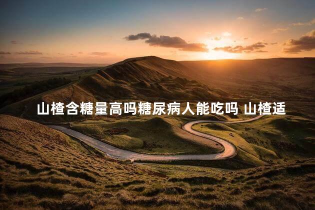 山楂含糖量高吗糖尿病人能吃吗 山楂适合糖尿病人吃吗